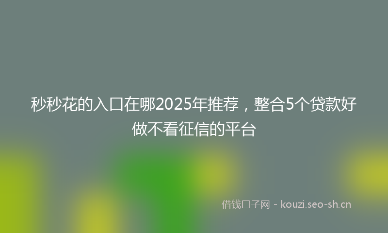 秒秒花的入口在哪2025年推荐，整合5个贷款好做不看征信的平台