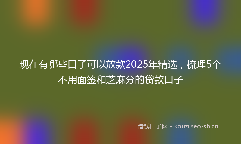 现在有哪些口子可以放款2025年精选，梳理5个不用面签和芝麻分的贷款口子
