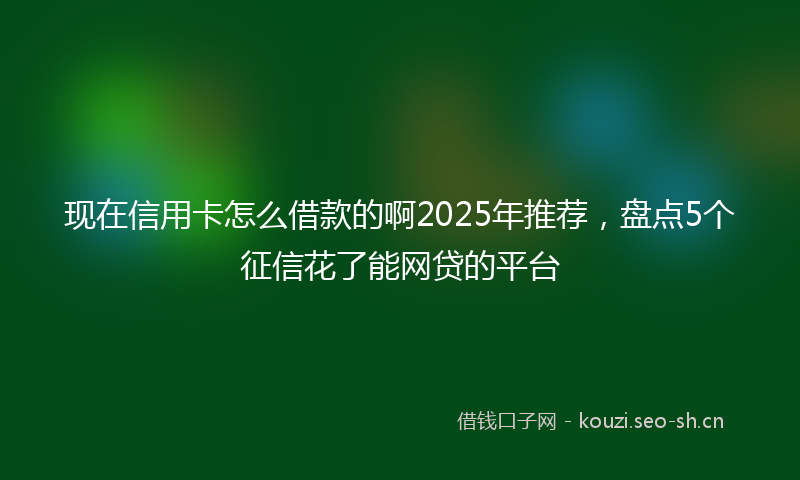现在信用卡怎么借款的啊2025年推荐，盘点5个征信花了能网贷的平台