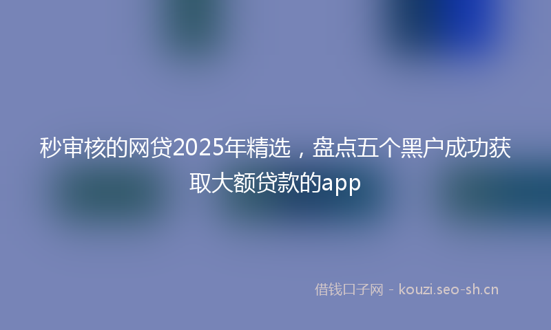 秒审核的网贷2025年精选，盘点五个黑户成功获取大额贷款的app