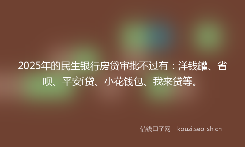 2025年的民生银行房贷审批不过有：洋钱罐、省呗、平安i贷、小花钱包、我来贷等。