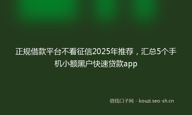 正规借款平台不看征信2025年推荐，汇总5个手机小额黑户快速贷款app