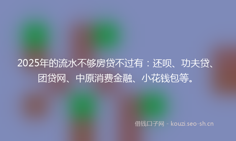 2025年的流水不够房贷不过有：还呗、功夫贷、团贷网、中原消费金融、小花钱包等。