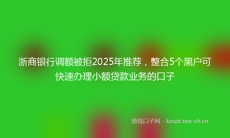 浙商银行调额被拒2025年推荐，整合5个黑户可快速办理小额贷款业务的口子