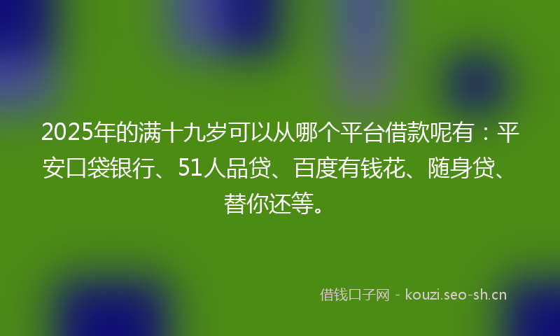 2025年的满十九岁可以从哪个平台借款呢有：平安口袋银行、51人品贷、百度有钱花、随身贷、替你还等。