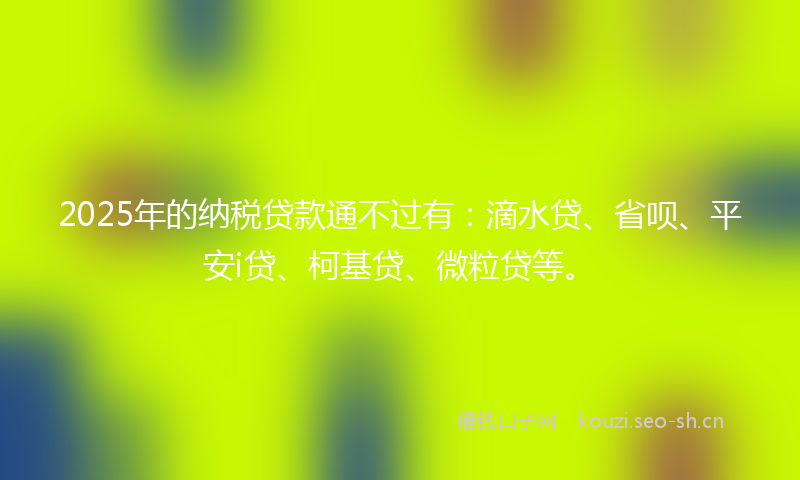 2025年的纳税贷款通不过有：滴水贷、省呗、平安i贷、柯基贷、微粒贷等。