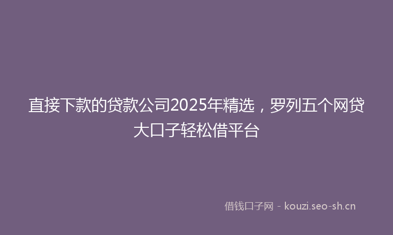 直接下款的贷款公司2025年精选，罗列五个网贷大口子轻松借平台