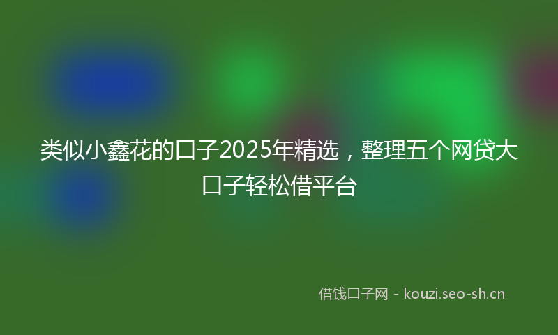 类似小鑫花的口子2025年精选，整理五个网贷大口子轻松借平台