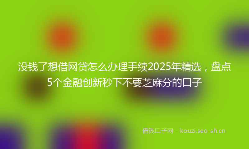 没钱了想借网贷怎么办理手续2025年精选，盘点5个金融创新秒下不要芝麻分的口子