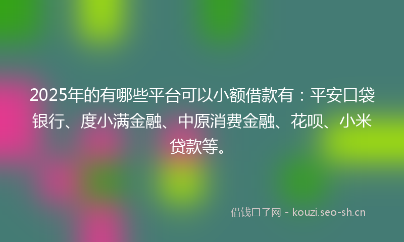 2025年的有哪些平台可以小额借款有：平安口袋银行、度小满金融、中原消费金融、花呗、小米贷款等。