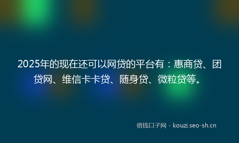 2025年的现在还可以网贷的平台有：惠商贷、团贷网、维信卡卡贷、随身贷、微粒贷等。