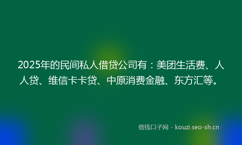 2025年的民间私人借贷公司有：美团生活费、人人贷、维信卡卡贷、中原消费金融、东方汇等。