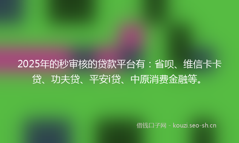 2025年的秒审核的贷款平台有：省呗、维信卡卡贷、功夫贷、平安i贷、中原消费金融等。