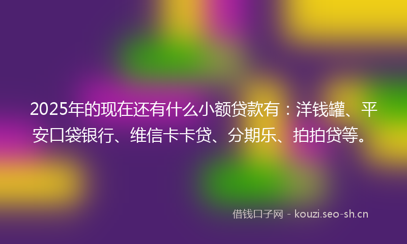 2025年的现在还有什么小额贷款有：洋钱罐、平安口袋银行、维信卡卡贷、分期乐、拍拍贷等。