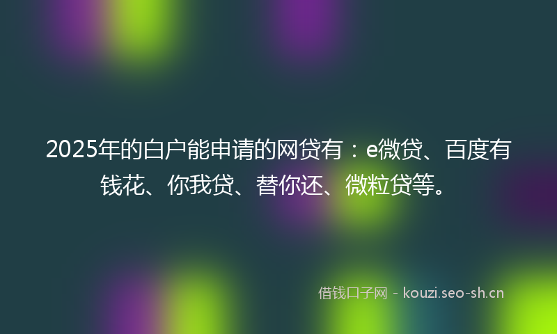 2025年的白户能申请的网贷有：e微贷、百度有钱花、你我贷、替你还、微粒贷等。