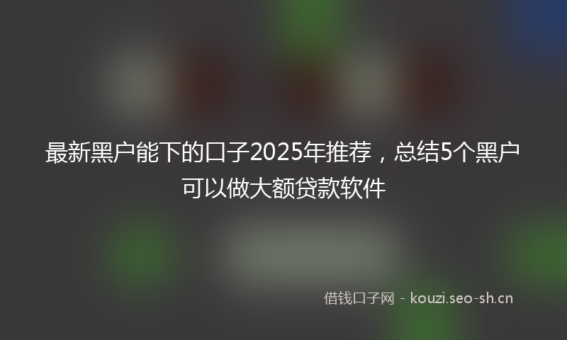 最新黑户能下的口子2025年推荐，总结5个黑户可以做大额贷款软件