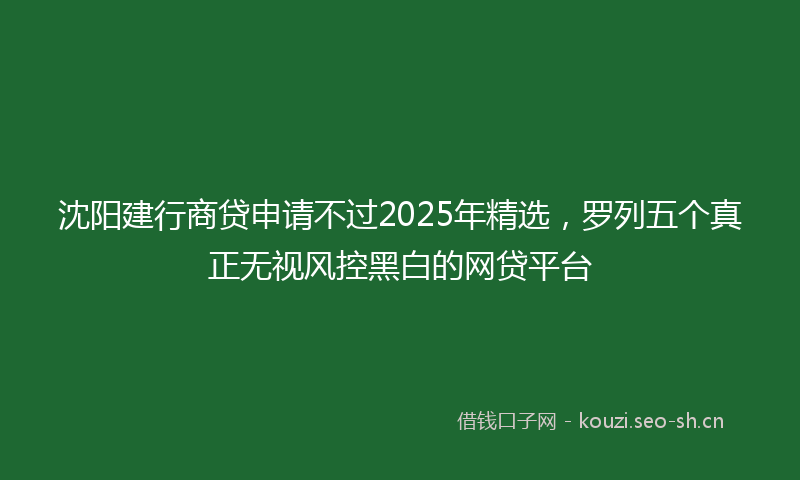 沈阳建行商贷申请不过2025年精选,罗列五个真正无视风控黑白的网贷平台