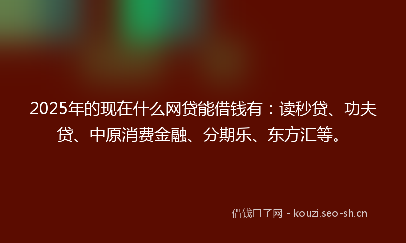2025年的现在什么网贷能借钱有：读秒贷、功夫贷、中原消费金融、分期乐、东方汇等。