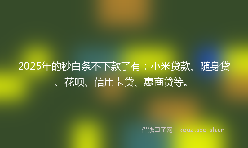 2025年的秒白条不下款了有：小米贷款、随身贷、花呗、信用卡贷、惠商贷等。