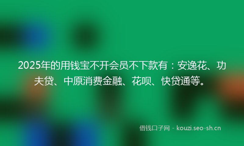2025年的用钱宝不开会员不下款有：安逸花、功夫贷、中原消费金融、花呗、快贷通等。