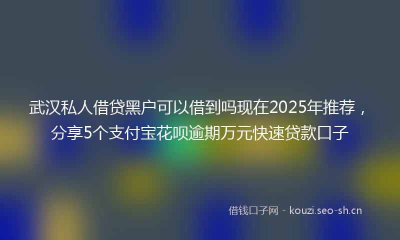 武汉私人借贷黑户可以借到吗现在2025年推荐，分享5个支付宝花呗逾期万元快速贷款口子