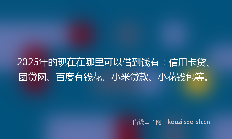 2025年的现在在哪里可以借到钱有：信用卡贷、团贷网、百度有钱花、小米贷款、小花钱包等。