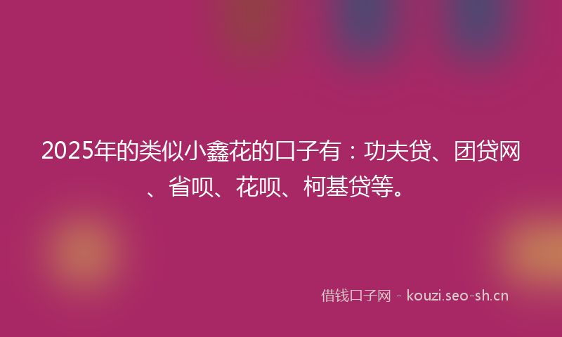2025年的类似小鑫花的口子有：功夫贷、团贷网、省呗、花呗、柯基贷等。