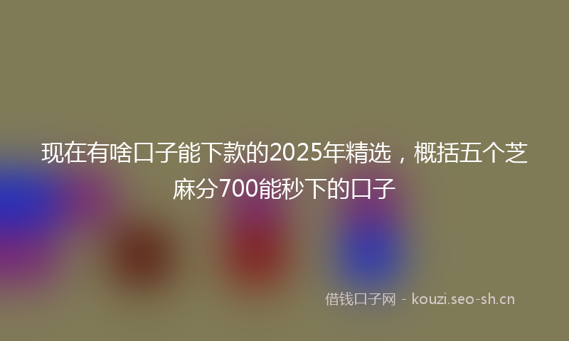 现在有啥口子能下款的2025年精选，概括五个芝麻分700能秒下的口子
