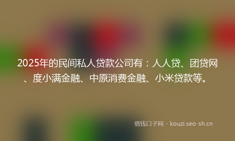 2025年的民间私人贷款公司有：人人贷、团贷网、度小满金融、中原消费金融、小米贷款等。
