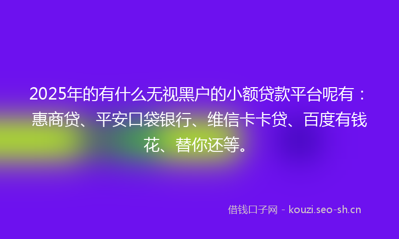 2025年的有什么无视黑户的小额贷款平台呢有：惠商贷、平安口袋银行、维信卡卡贷、百度有钱花、替你还等。