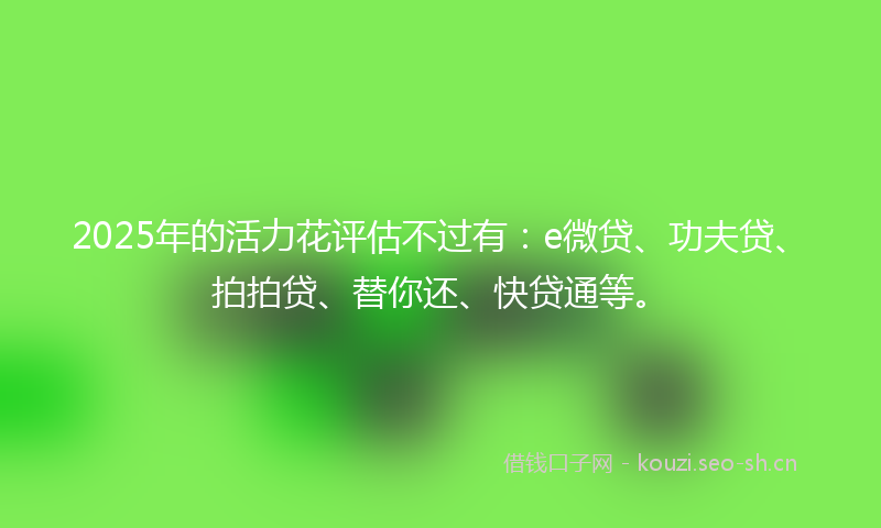 2025年的活力花评估不过有：e微贷、功夫贷、拍拍贷、替你还、快贷通等。
