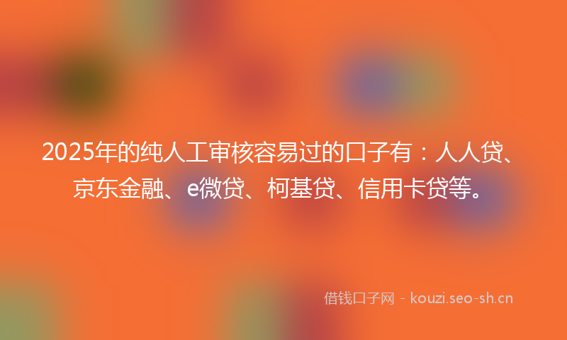 2025年的纯人工审核容易过的口子有：人人贷、京东金融、e微贷、柯基贷、信用卡贷等。