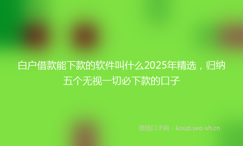 白户借款能下款的软件叫什么2025年精选，归纳五个无视一切必下款的口子