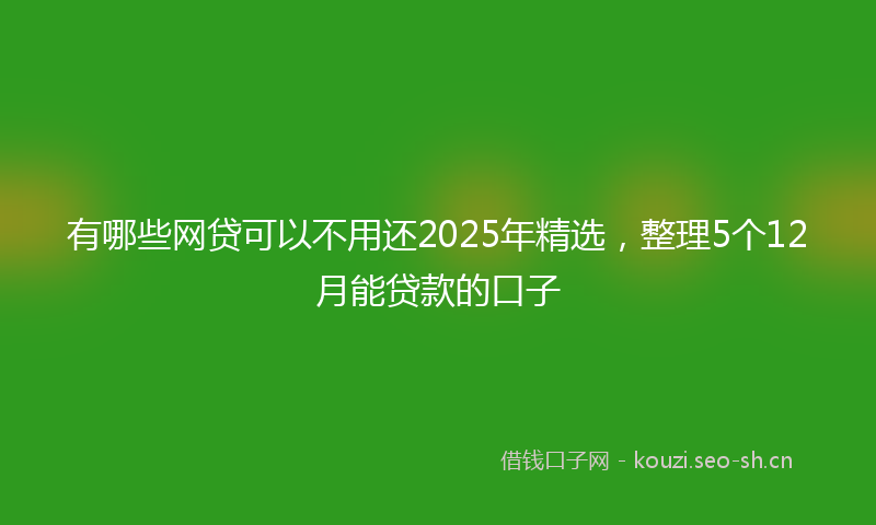有哪些网贷可以不用还2025年精选，整理5个12月能贷款的口子