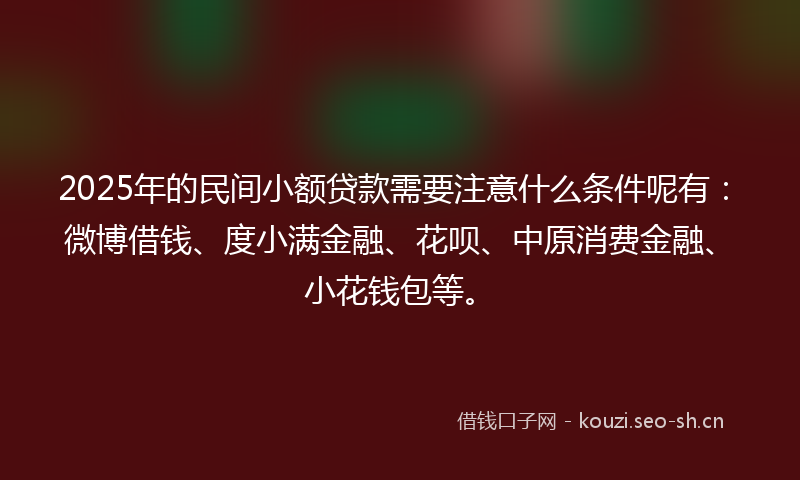 2025年的民间小额贷款需要注意什么条件呢有：微博借钱、度小满金融、花呗、中原消费金融、小花钱包等。