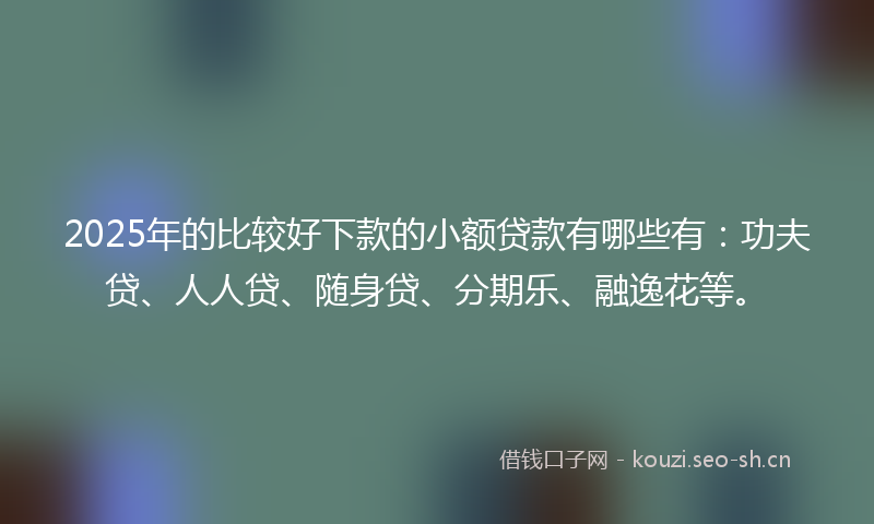 2025年的比较好下款的小额贷款有哪些有：功夫贷、人人贷、随身贷、分期乐、融逸花等。