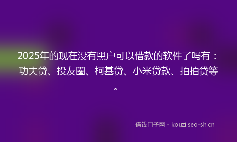 2025年的现在没有黑户可以借款的软件了吗有：功夫贷、投友圈、柯基贷、小米贷款、拍拍贷等。