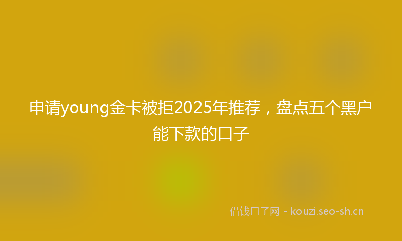 申请young金卡被拒2025年推荐,盘点五个黑户能下款的口子