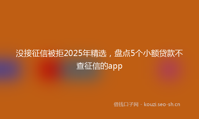 没接征信被拒2025年精选,盘点5个小额贷款不查征信的app