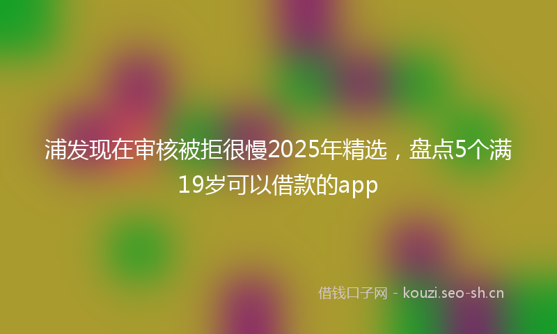 浦发现在审核被拒很慢2025年精选，盘点5个满19岁可以借款的app