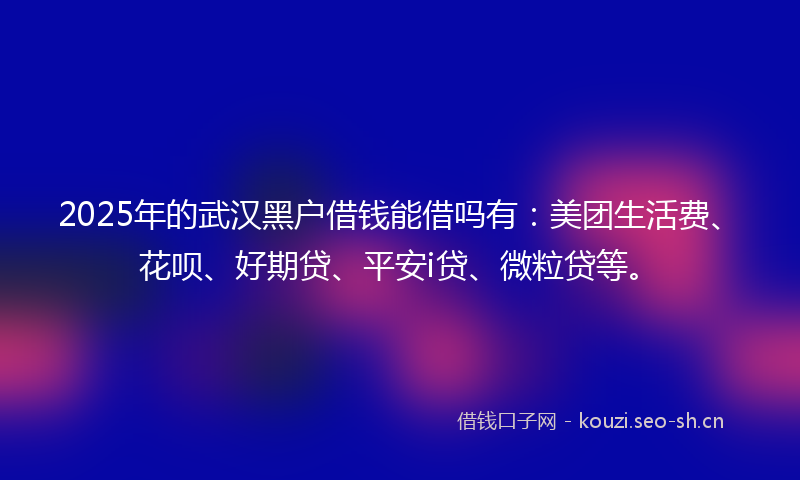 2025年的武汉黑户借钱能借吗有：美团生活费、花呗、好期贷、平安i贷、微粒贷等。