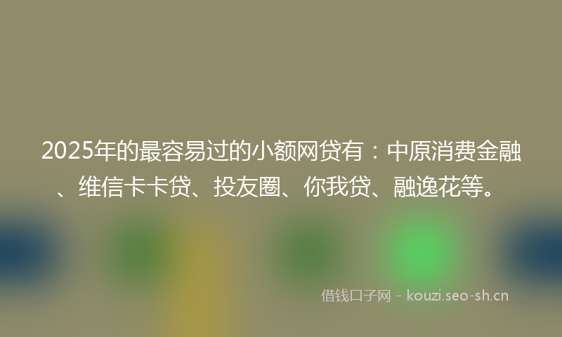 2025年的最容易过的小额网贷有：中原消费金融、维信卡卡贷、投友圈、你我贷、融逸花等。