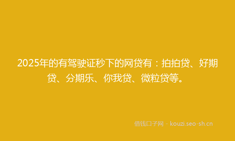 2025年的有驾驶证秒下的网贷有：拍拍贷、好期贷、分期乐、你我贷、微粒贷等。