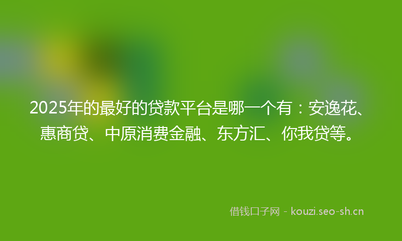 2025年的最好的贷款平台是哪一个有：安逸花、惠商贷、中原消费金融、东方汇、你我贷等。