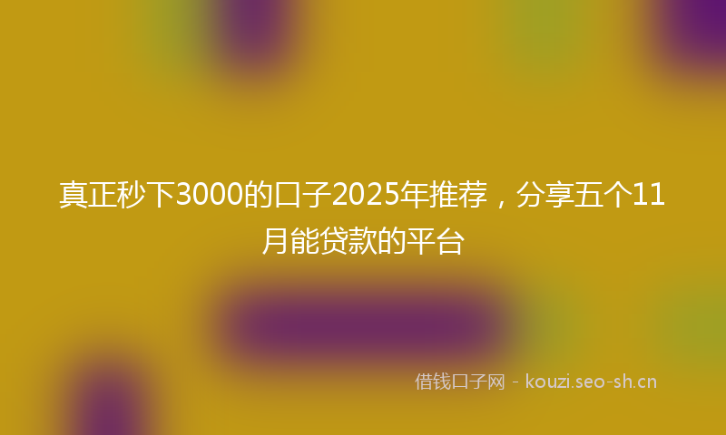 真正秒下3000的口子2025年推荐，分享五个11月能贷款的平台