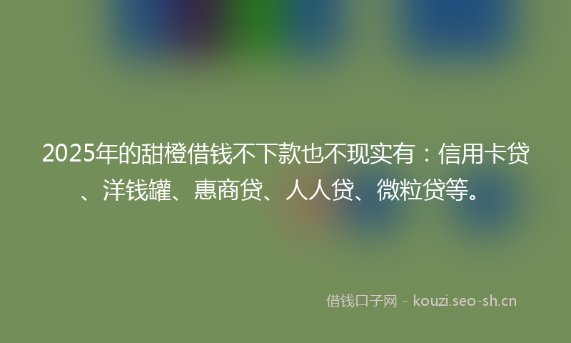 2025年的甜橙借钱不下款也不现实有：信用卡贷、洋钱罐、惠商贷、人人贷、微粒贷等。
