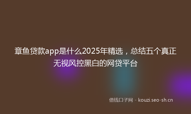 章鱼贷款app是什么2025年精选,总结五个真正无视风控黑白的网贷平台