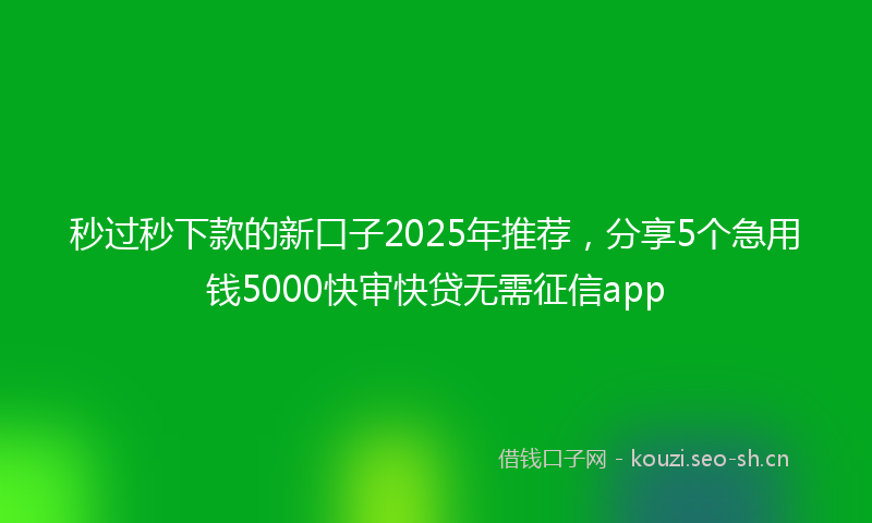 秒过秒下款的新口子2025年推荐，分享5个急用钱5000快审快贷无需征信app