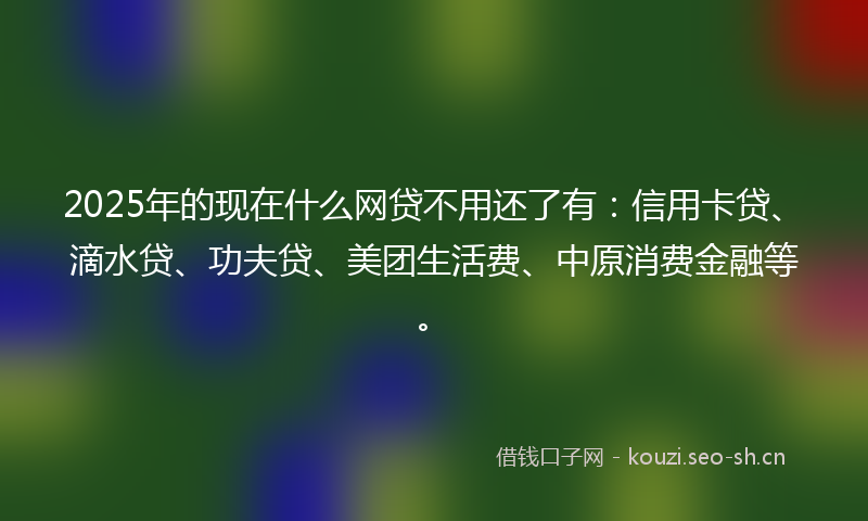 2025年的现在什么网贷不用还了有：信用卡贷、滴水贷、功夫贷、美团生活费、中原消费金融等。