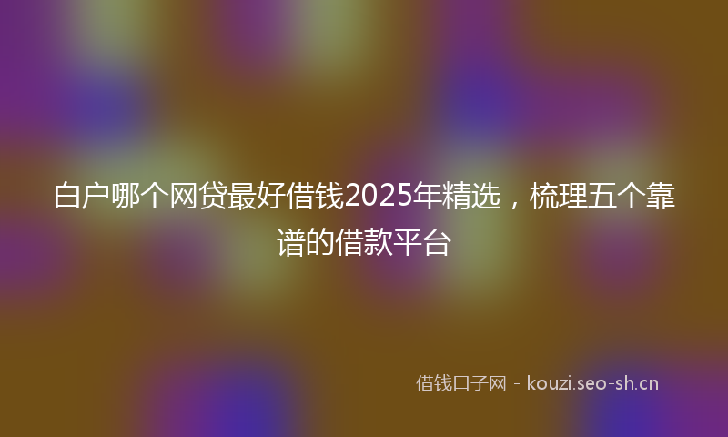 白户哪个网贷最好借钱2025年精选,梳理五个靠谱的借款平台